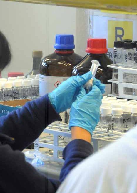 «Divulgate i monitoraggi della discarica»