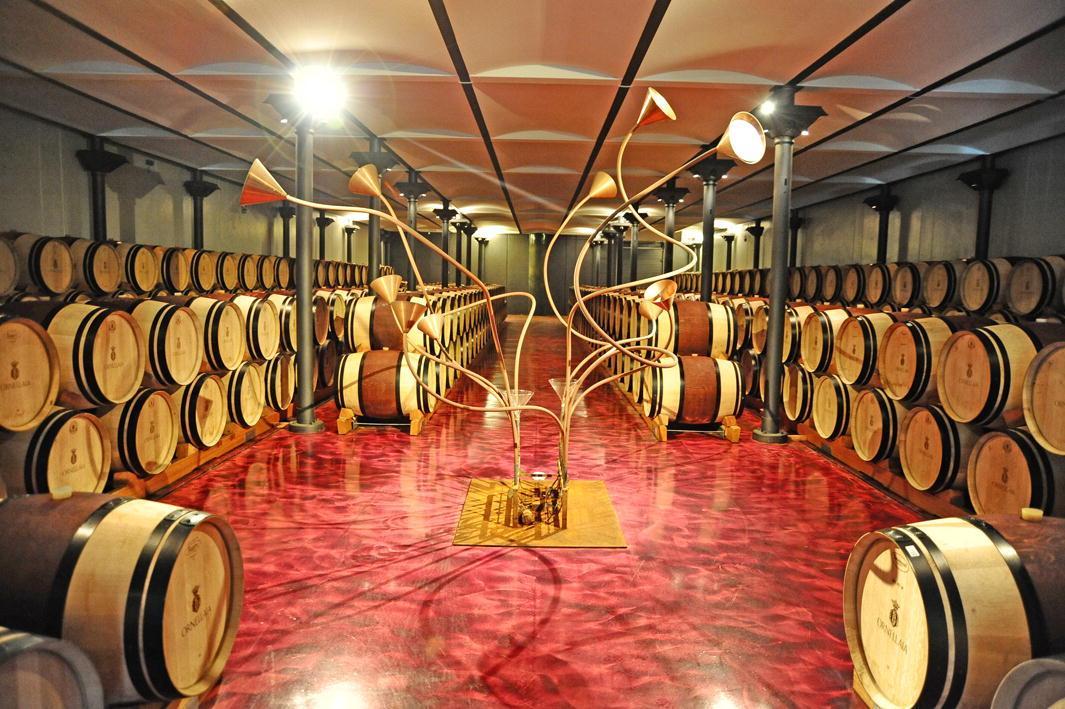La cantina di Ornellaia  (foto Falorni/Silvi)