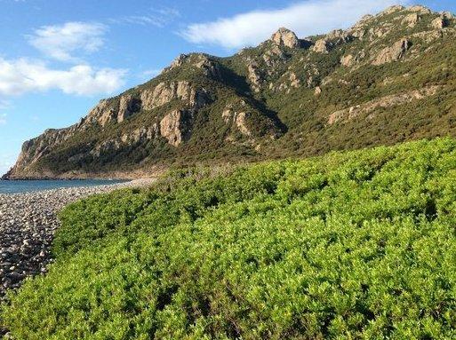 L’appalto per il camping finisce in Procura 