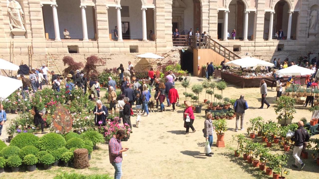 “Hortus” fa il pieno ai Chiostri