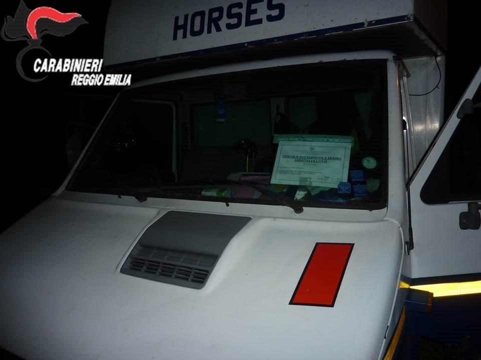 Brescello, trasportava cavalli senza patente né permessi: maxi multa per un 25enne sampolese