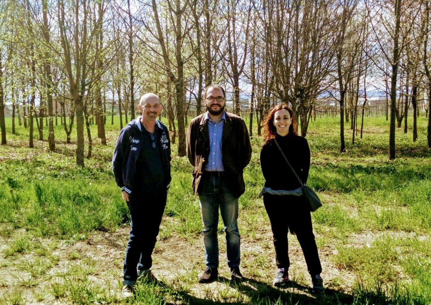 Cento nuovi alberi nel boschetto della scuola elementare