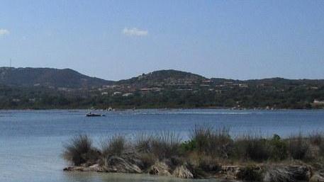 San Teodoro, grande attesa per il Trofeo del fenicottero
