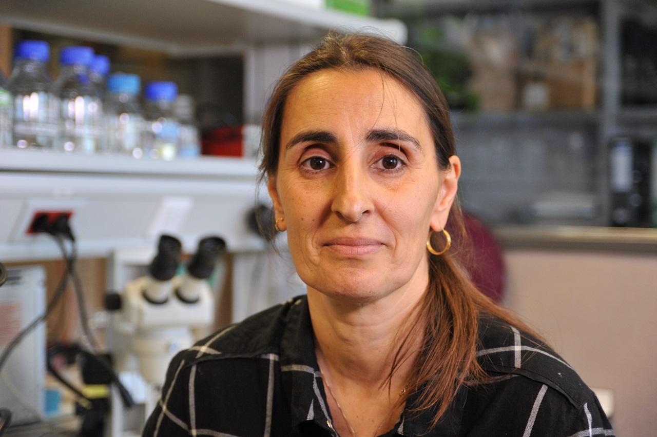 Federica Bertocchini