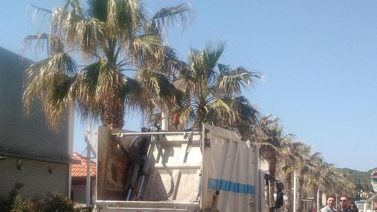 «E Rea svuota i cassonetti all’ora di pranzo»