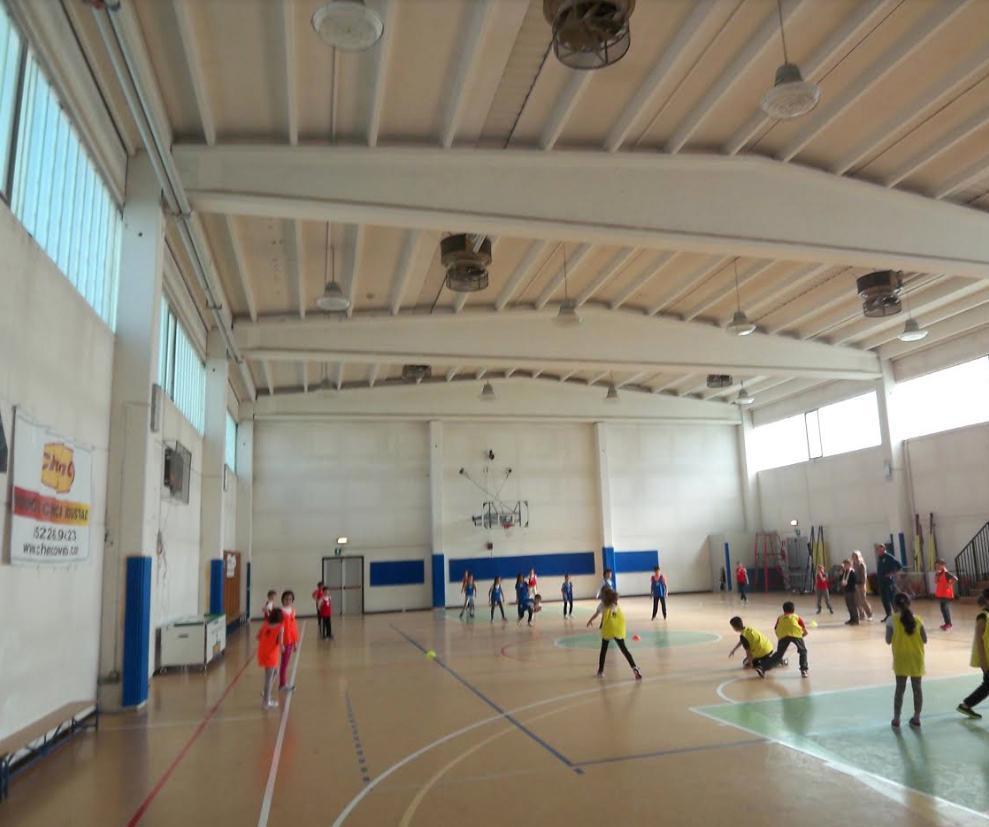 Puianello, la palestra a rischio si rinnova 