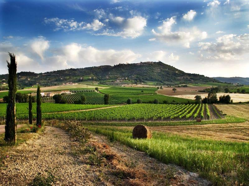 Nella Val d'Orcia