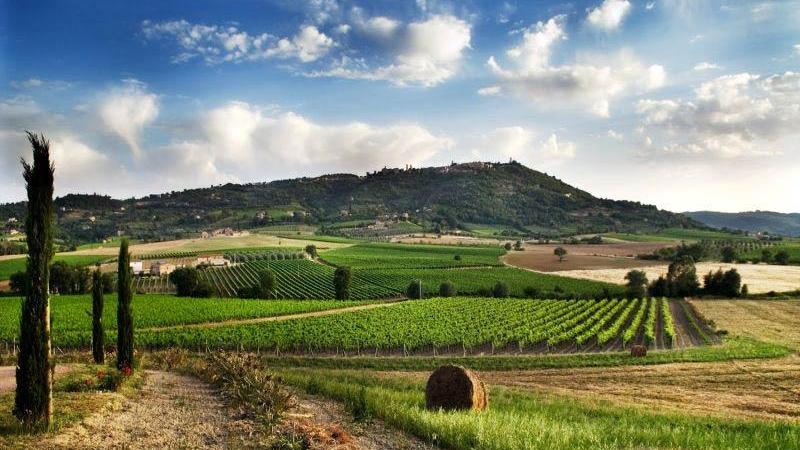 Nella Val d'Orcia