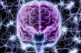 Sassari protagonista nella scoperta di un nuovo gene per sclerosi multipla e Lupus 