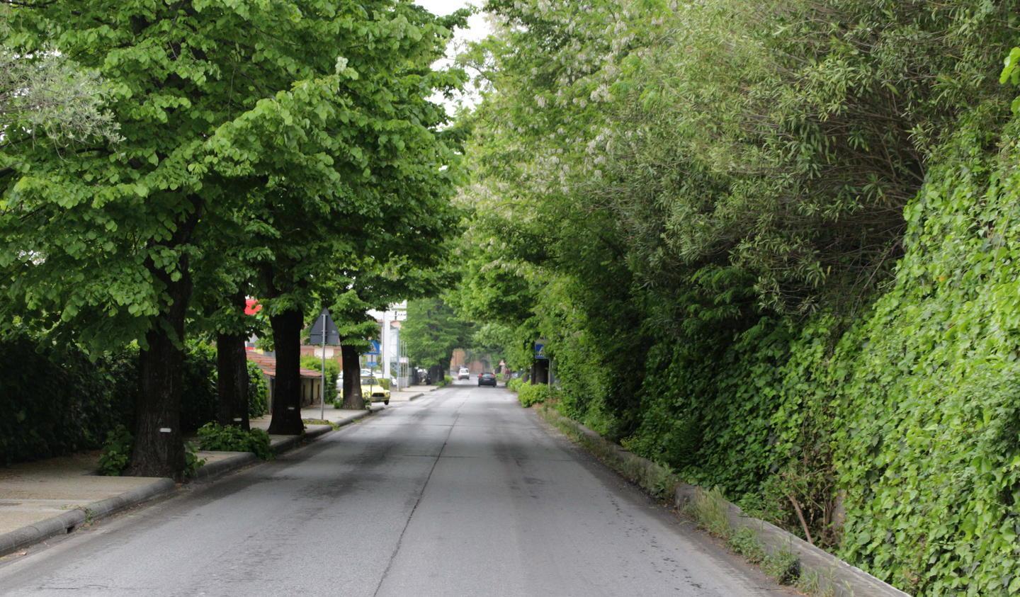 Sos dei cittadini al Comune «Via Sarzanese pericolosa» 