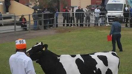La Mostra regionale zootecnica spegne 34 candeline