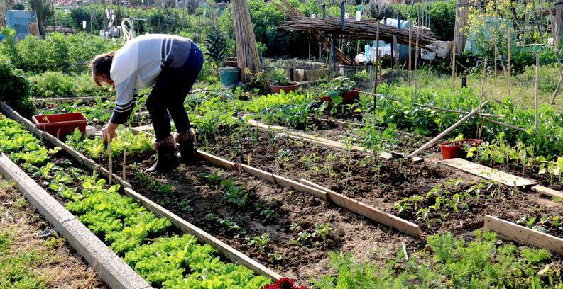 Orti sociali al posto di giardini degradati 