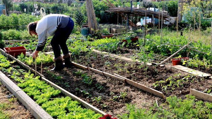 Orti sociali al posto di giardini degradati