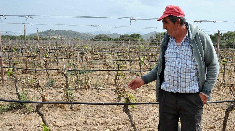 Dalla Strada del vermentino solidarietà dopo le gelate