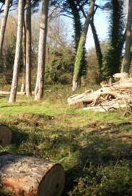 Contro il degrado un picnic spontaneo a Villa Ceci