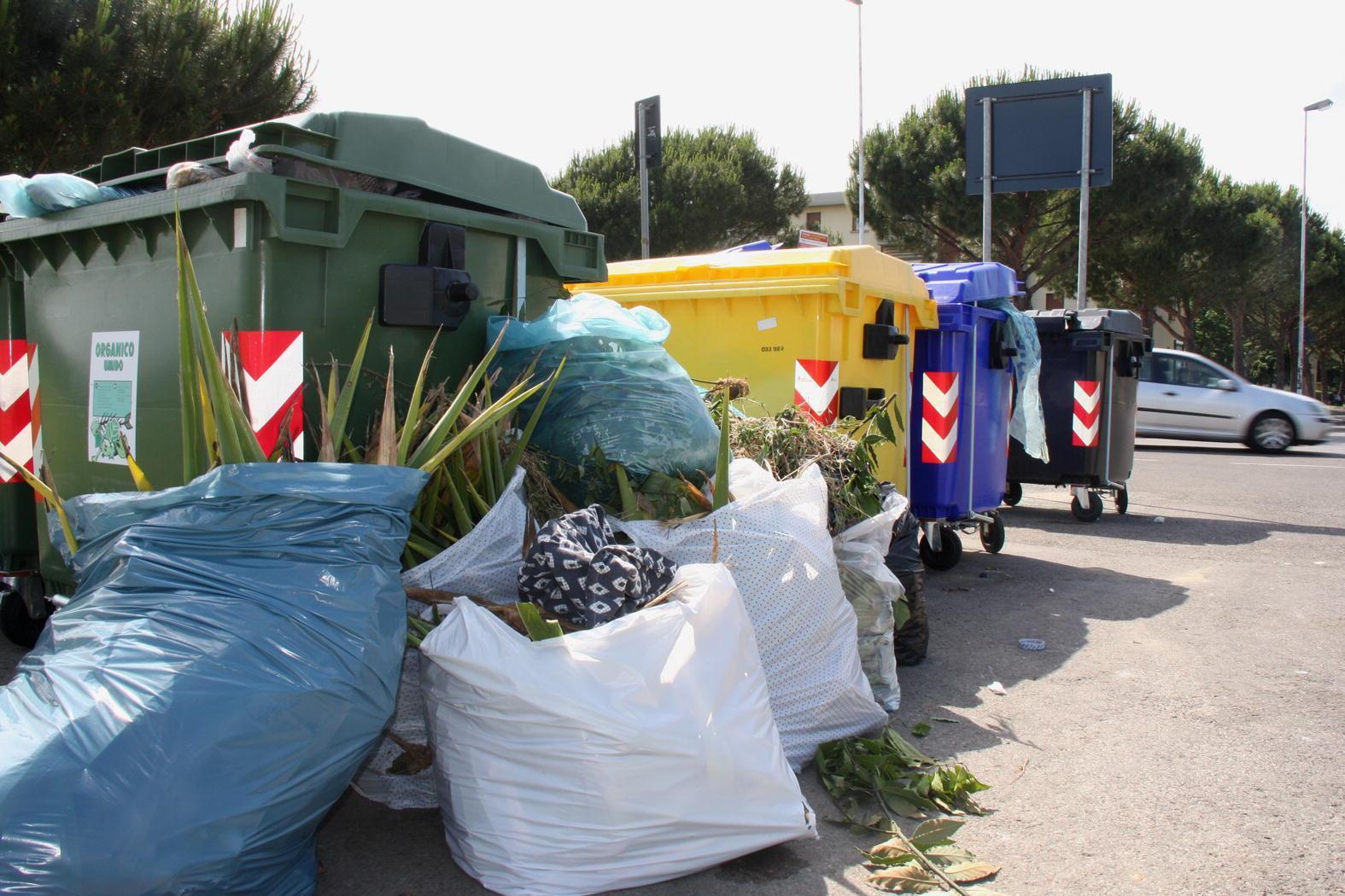 Cassonetti delle isole ecologiche