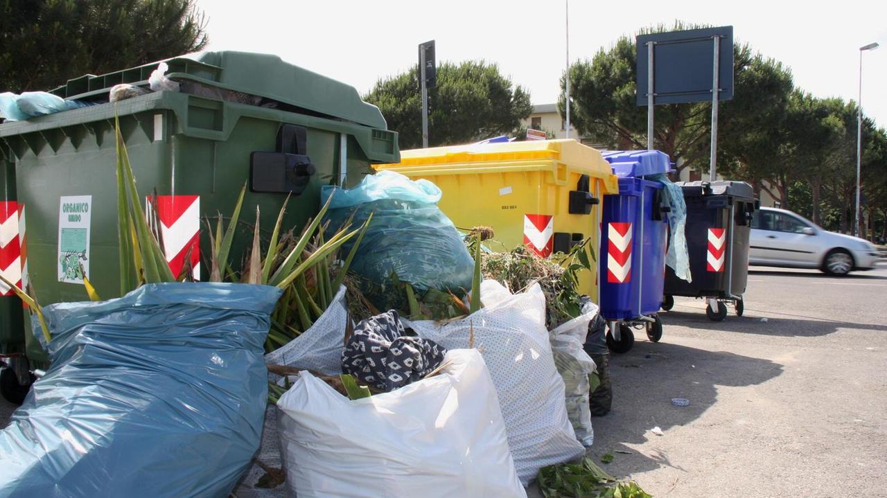 Cassonetti delle isole ecologiche