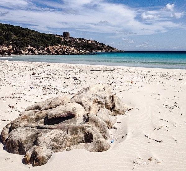 Ambiente e sviluppo festa all’Asinara 