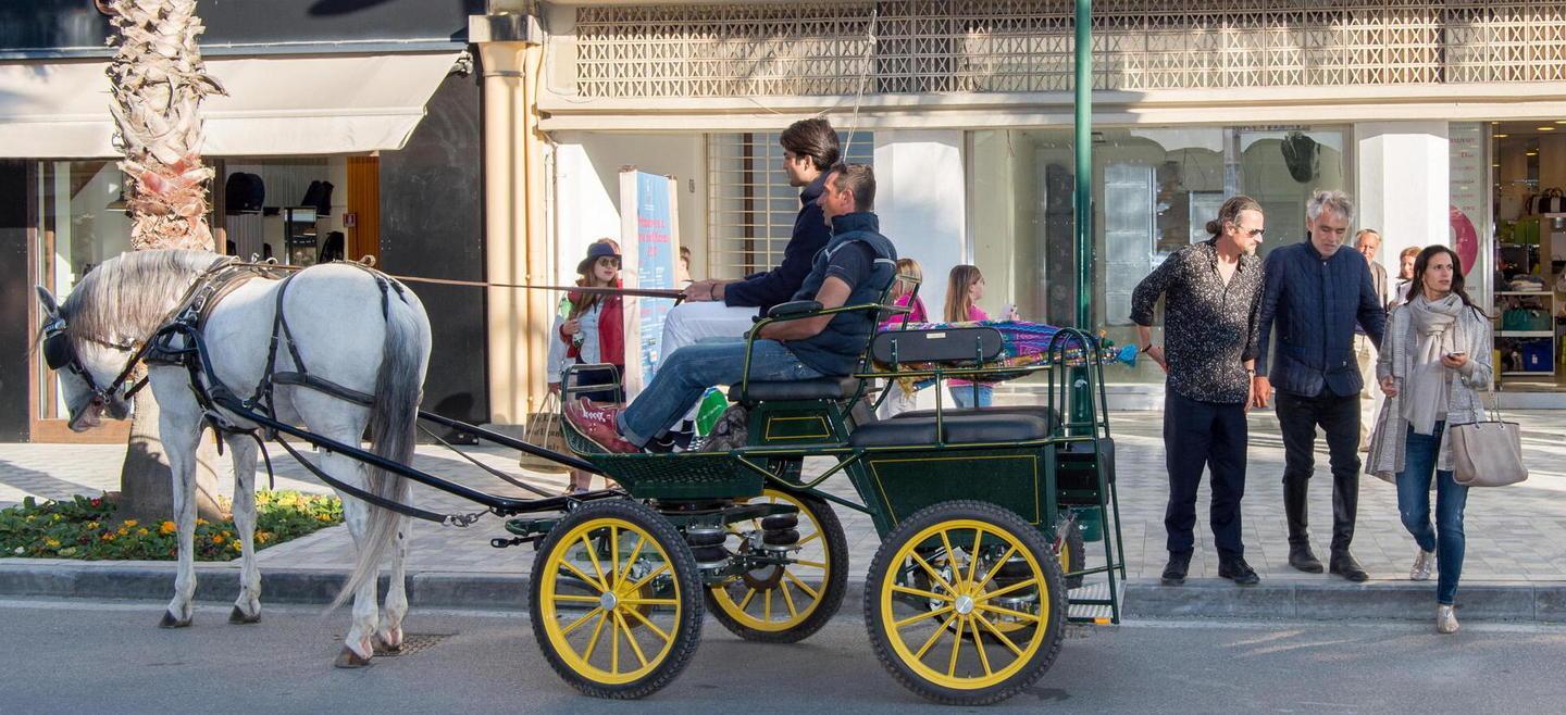 L'arrivo di Bocelli a bordo di un calesse trainato da un cavallo bianco