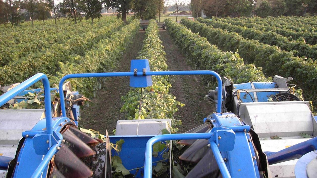 Registro telematico in cantina l’obbligo slitta al 30 giugno