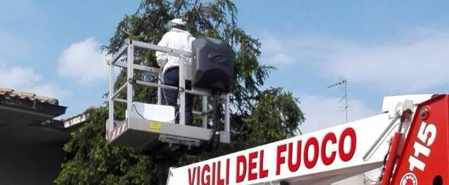 Vigili del fuoco aiutano apicoltore