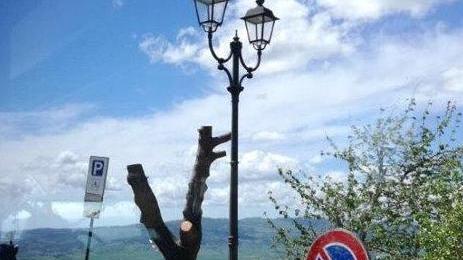 Graffiti di Nof4, aiuti regionali per il recupero