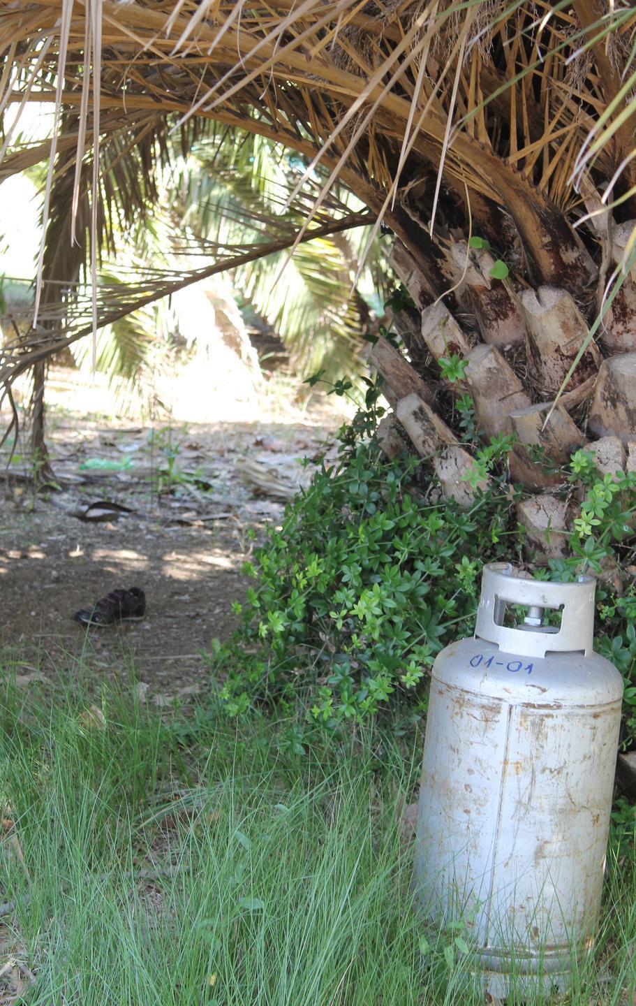 Bombola di gas sotto le palme 
