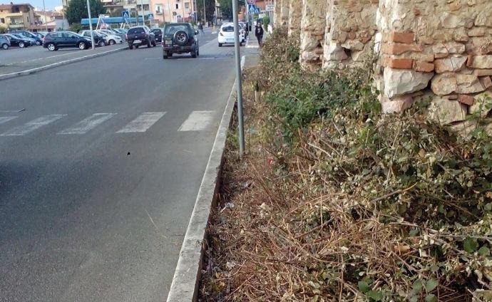 «Marciapiedi non calpestabili e pini pericolosi nella scuola»