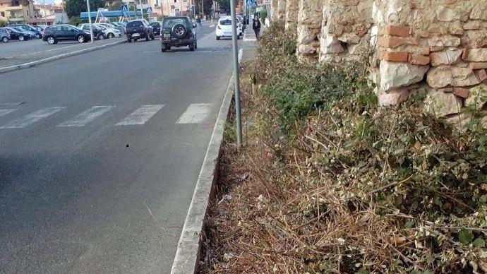 «Marciapiedi non calpestabili e pini pericolosi nella scuola»