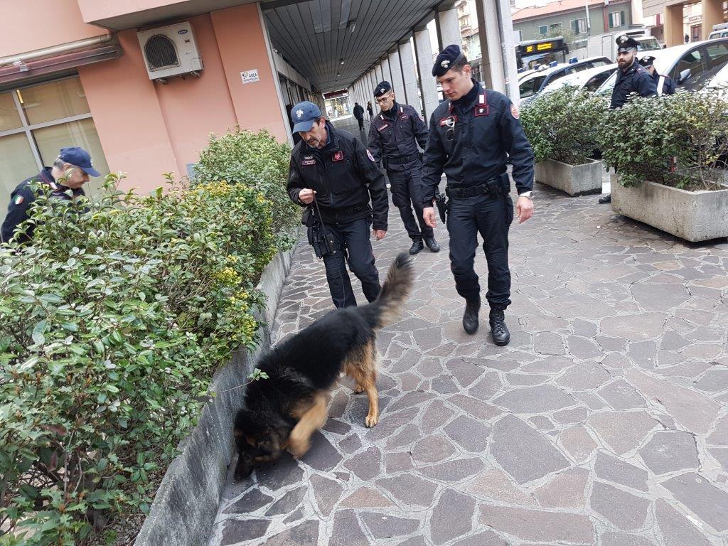 Il cane Batman durante un servizio (foto d'archivio)