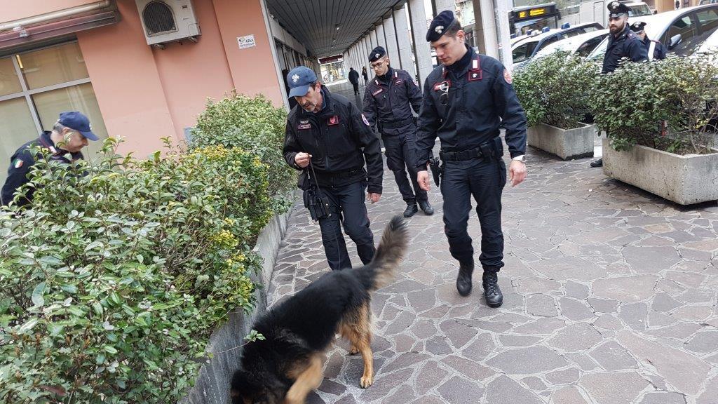 Il cane Batman durante un servizio (foto d'archivio)