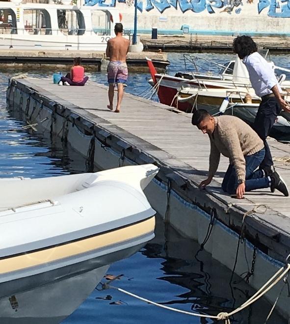 Porti come giardini con la lana intelligente che digerisce lo sporco 