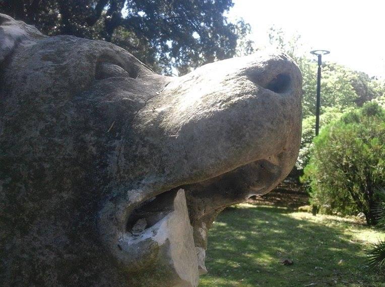Spaccata la mascella al Molosso di Marina