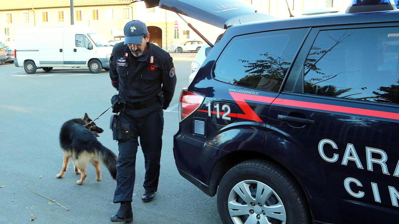 Il cane Batman scova droga nel parco e accanto a un locale