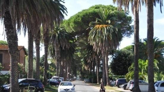 Riunione dei commercianti
