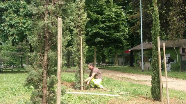 La piantumazione al Parco dell'ex ippodromo