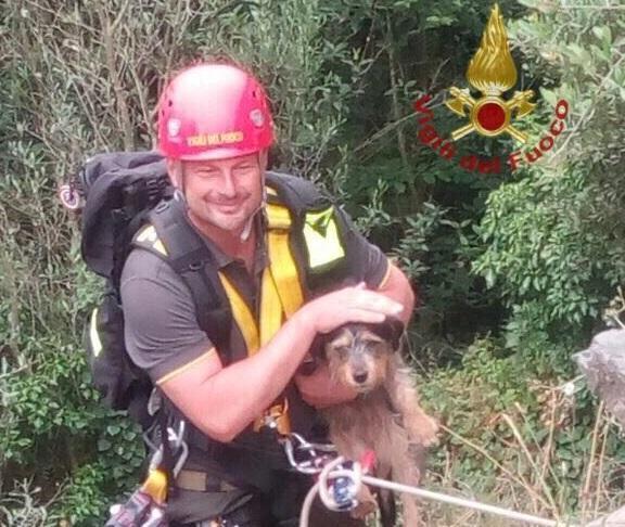 Il vigile del fuoco con il cagnolino appena salvato