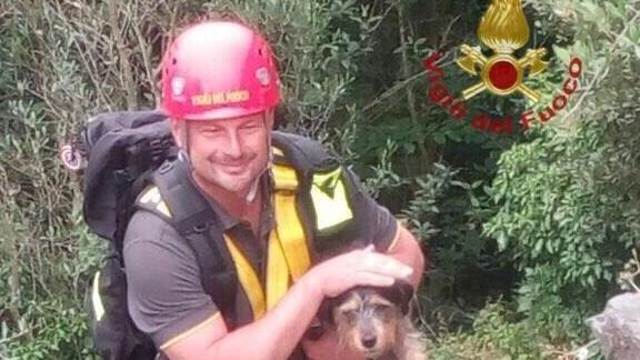 Il vigile del fuoco con il cagnolino appena salvato