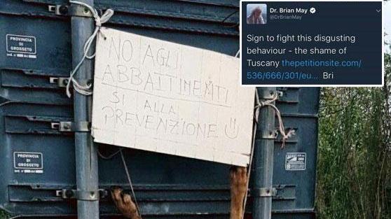 Il chitarrista dei Queen difende il lupo ucciso. In un tweet scrive: "Una vergogna per la Toscana"