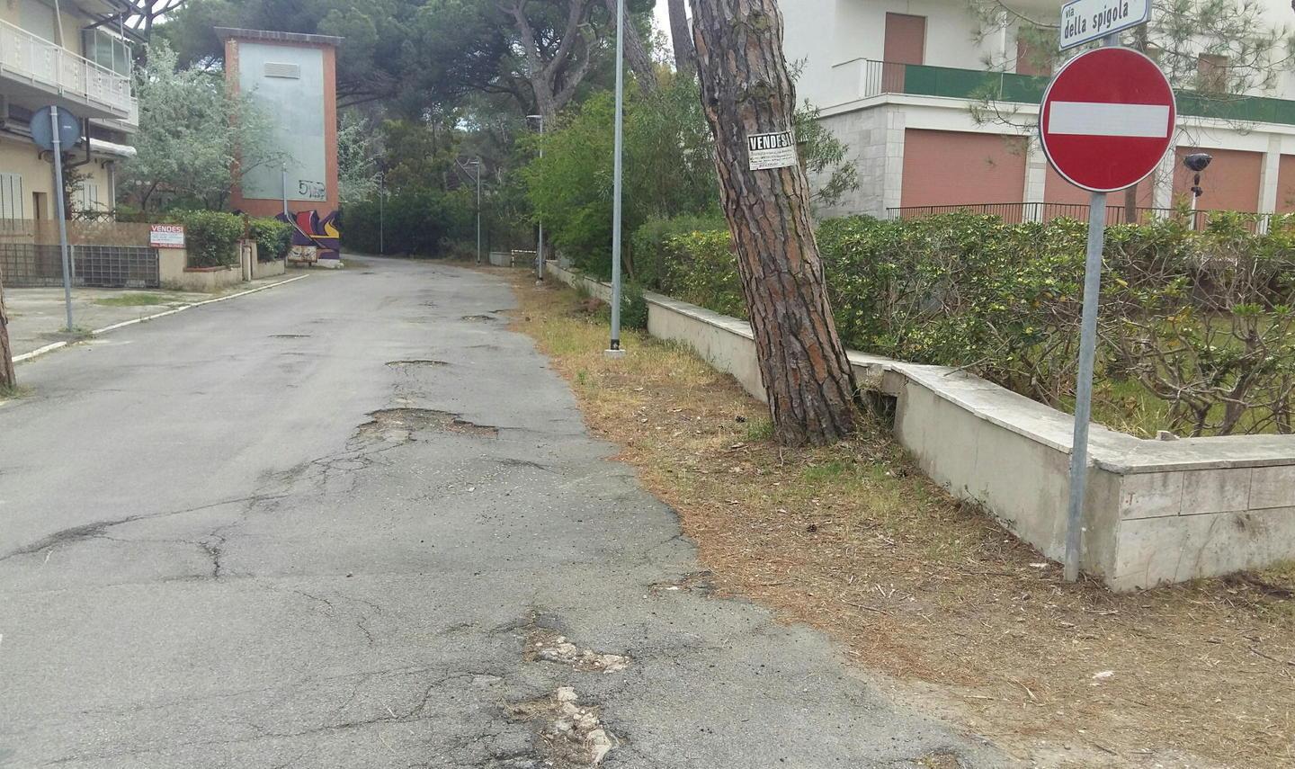 «Ubriachi? No stiamo evitando crepe e buche» 