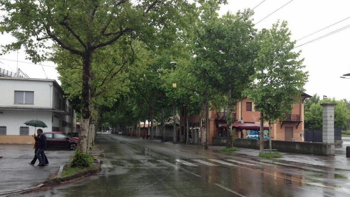Pericoli per i pedoni in viale Monte Kosica