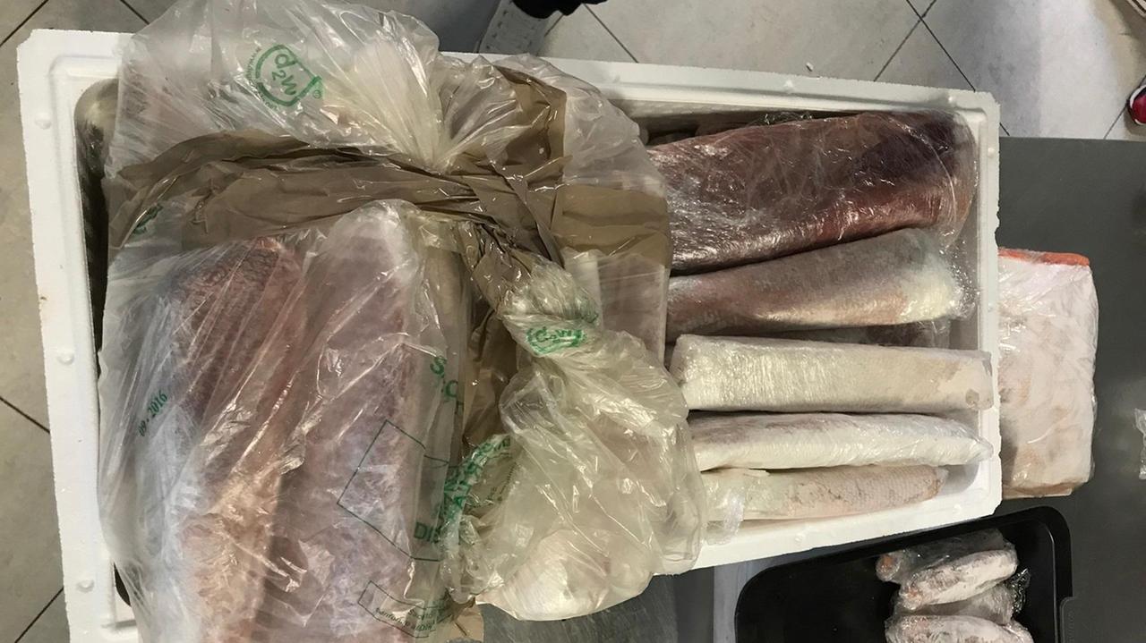 I prodotti ittici sequestrati