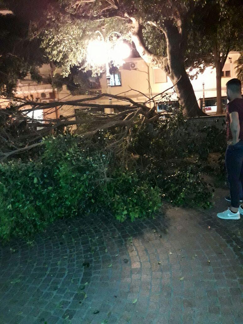 Villaputzu, si spezza il ramo di un grosso ficus: due 15enni ferite