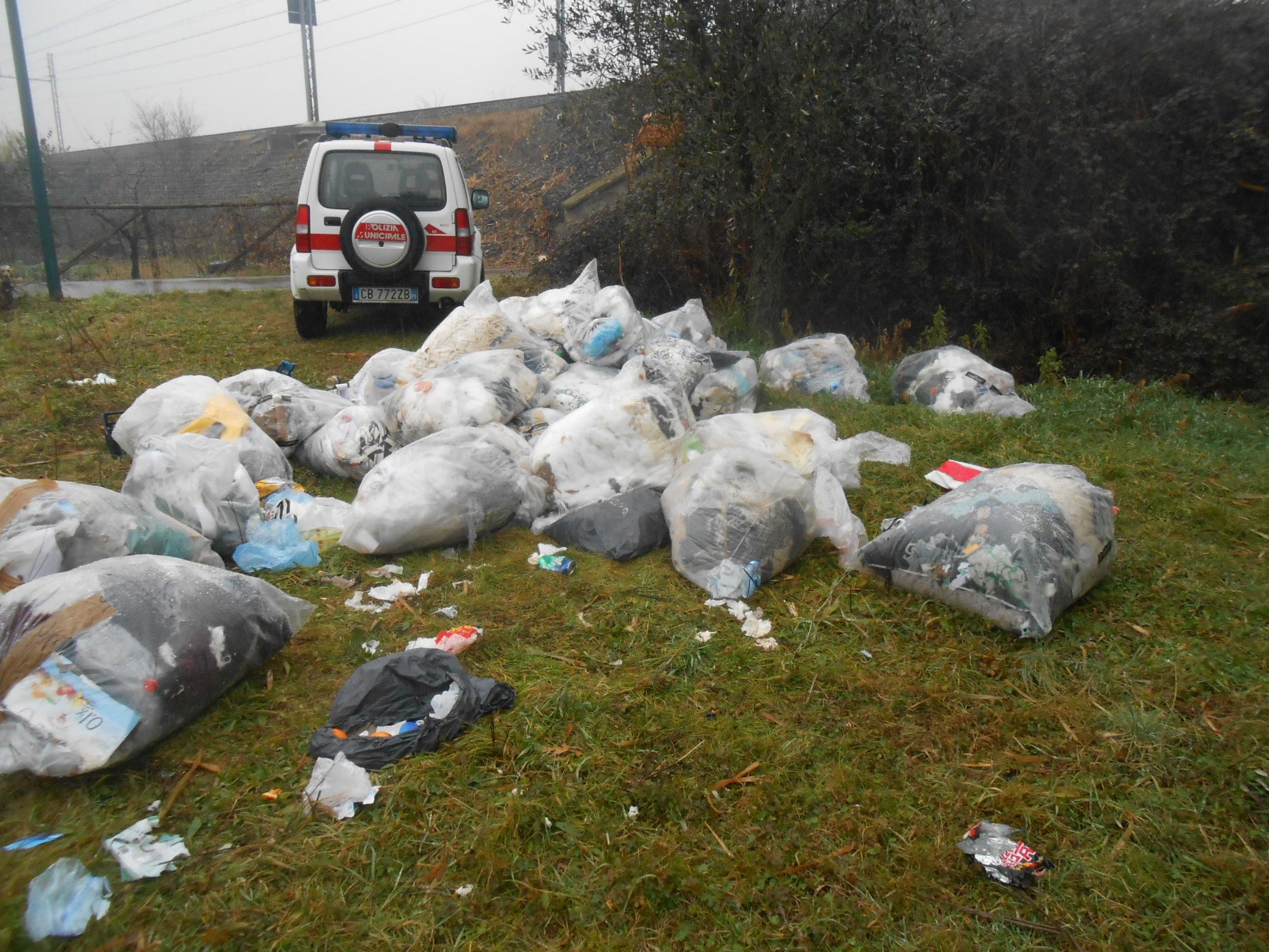 I rifiuti trovati dalla Municipale in un campo a Iolo