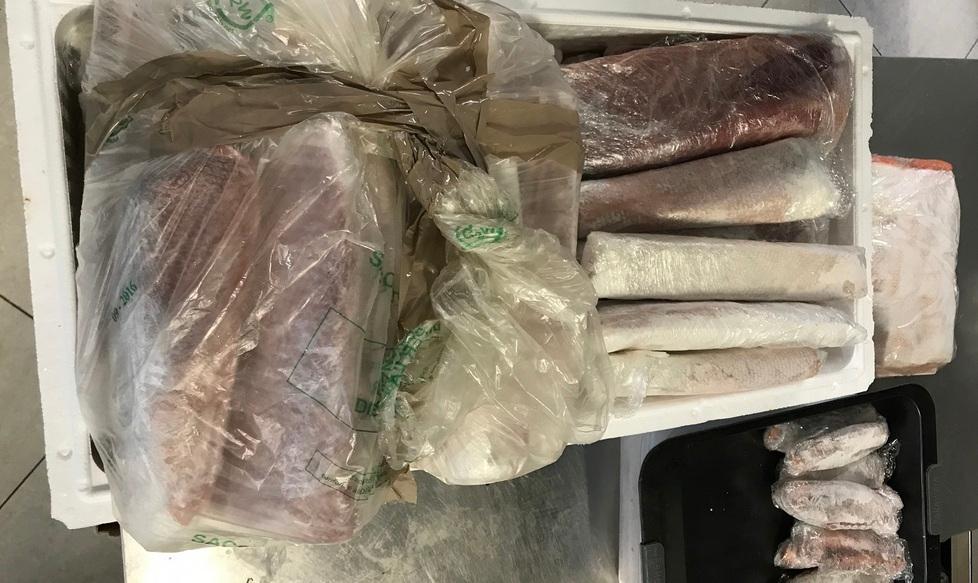 Sushi non a norma: sequestrati 40 chili di prodotti ittici 