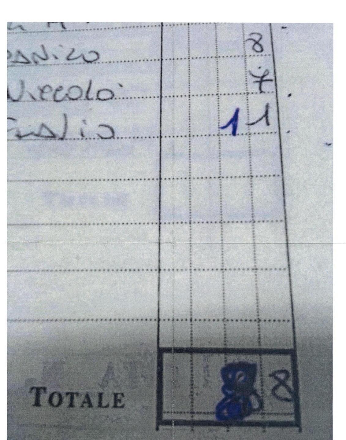 «Zazzeri aveva voti, chi lo ha attaccato ora gli chieda scusa» 