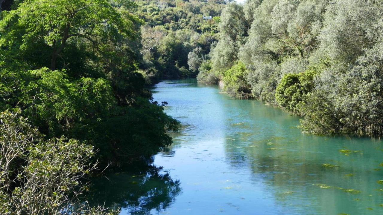 «Dal canale di Ansedonia troppe alghe in spiaggia»