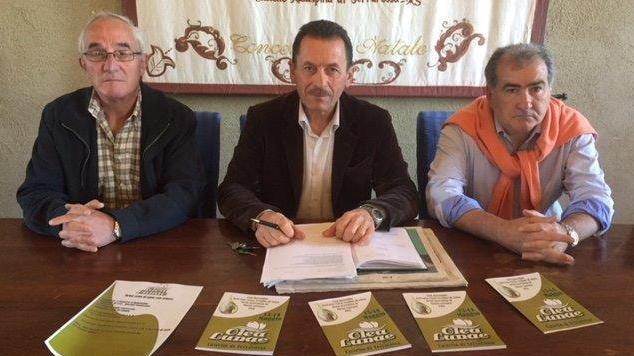 “Olea Lunae”, così si valorizza un’eccellenza locale