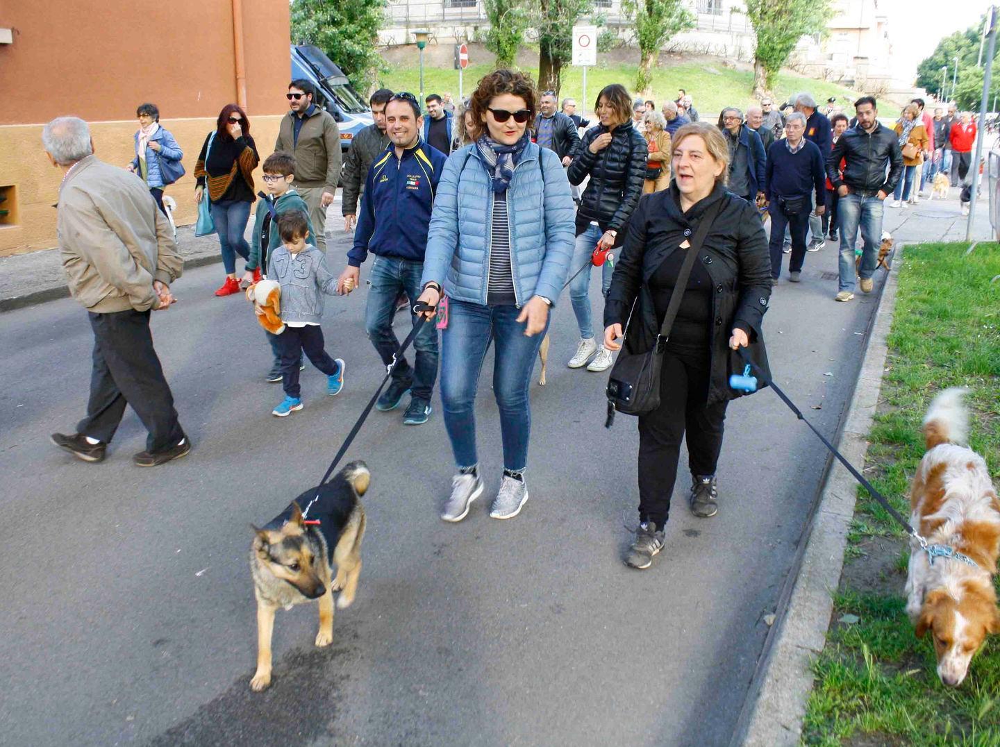 Multe ai proprietari 75 in quattro anni 18 dai volontari