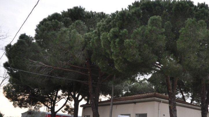 Ritardi e burocrazie la Casa delle donne è ancora in alto mare